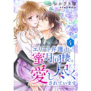 エリート弁護士に蜜月同棲で愛し尽くされています【分冊版】4話（マーマレードコミックス） [電子書籍]