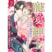 寵愛紳士～今夜、献身的なエリート上司に迫られる～（2）（ビーグリー） [電子書籍]