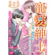 寵愛紳士～今夜、献身的なエリート上司に迫られる～ 単行本版（2）（ビーグリー） [電子書籍]