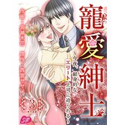寵愛紳士～今夜、献身的なエリート上司に迫られる～ 単行本版（3）（ビーグリー） [電子書籍]