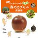 森のカプセル探検帳 ～ドングリいっぱい大発見！～（技術評論社） [電子書籍]