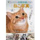 増補版 見るだけで自律神経が整う かわいいねこ写真（ガイドワークス） [電子書籍]