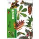 樹木図鑑（創元社） [電子書籍]