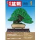 近代盆栽2024年1月号（近代出版） [電子書籍]