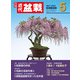 近代盆栽2024年5月号（近代出版） [電子書籍]