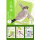 文鳥様と私 超合本版（7）（青泉社） [電子書籍]