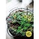 大人が楽しむ多肉植物（ブティック社） [電子書籍]