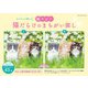 猫だらけのまちがい探し（ブティック社） [電子書籍]