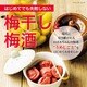 はじめてでも失敗しない 梅干しと梅酒（ブティック社） [電子書籍]