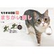 もちまる日記 まちがい探し（ブティック社） [電子書籍]