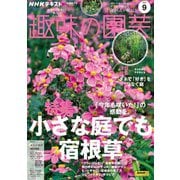ＮＨＫ 趣味の園芸  2024年9月号（NHK出版） [電子書籍]
