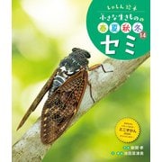 しゃしん絵本 小さな生きものの春夏秋冬 セミ（ポプラ社） [電子書籍]