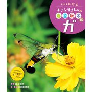 しゃしん絵本 小さな生きものの春夏秋冬 ガ（ポプラ社） [電子書籍]