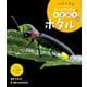 しゃしん絵本 小さな生きものの春夏秋冬 ホタル（ポプラ社） [電子書籍]
