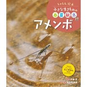 しゃしん絵本 小さな生きものの春夏秋冬 アメンボ（ポプラ社） [電子書籍]