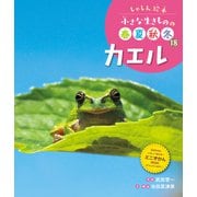 しゃしん絵本 小さな生きものの春夏秋冬 カエル（ポプラ社） [電子書籍]