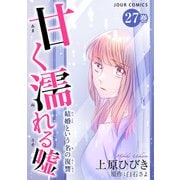 甘く濡れる嘘～結婚という名の復讐～ ： 27（双葉社） [電子書籍]