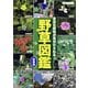 野草図鑑 新装版（ブティック社） [電子書籍]