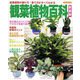 観葉植物百科 新装版（ブティック社） [電子書籍]
