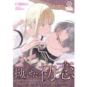 堅物アルファ騎士の拗らせた初恋～運命の番は男娼オメガでした～2（パルプライド） [電子書籍]