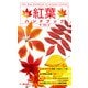 新 紅葉ハンドブック（文一総合出版） [電子書籍]