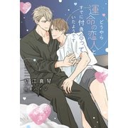 どうやら運命の恋人とすでに付き合っていたようです（新書館） [電子書籍]