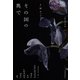 その国の奥で（河出書房新社） [電子書籍]