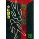 裁きの扉（講談社） [電子書籍]
