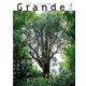 Grandeひろしま Vol.46（TME出版） [電子書籍]