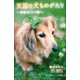 小学館ジュニア文庫 天国の犬ものがたり～ゆめのつづき～（小学館） [電子書籍]