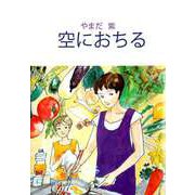 空におちる（ビーグリー） [電子書籍]