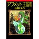 アフメット王国物語（1）（ビーグリー） [電子書籍]