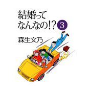 結婚ってなんなの！？（3）（ビーグリー） [電子書籍]