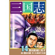 三国志（14）（ビーグリー） [電子書籍]