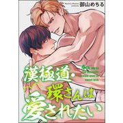 漢極道・環さんは愛されたい（分冊版） 【第4話】（海王社） [電子書籍]