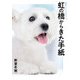 虹の橋からきた手紙（サイゾー） [電子書籍]