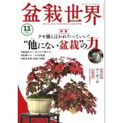 盆栽世界 2024年11月号（エスプレス・メディア出版） [電子書籍]