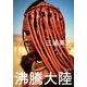 沸騰大陸（集英社） [電子書籍]