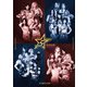STARDOM OFFICIAL GUIDE BOOK Vol.152（ブシロードワークス） [電子書籍]
