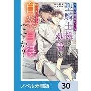 うちの捕虜だった聖騎士様の執着が怖いんですが自業自得ですか？【ノベル分冊版】 30（KADOKAWA） [電子書籍]