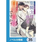 うちの捕虜だった聖騎士様の執着が怖いんですが自業自得ですか？【ノベル分冊版】 35（KADOKAWA） [電子書籍]