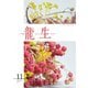 いけ花龍生 11月号（龍生華道会） [電子書籍]