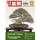 近代盆栽2024年12月号（近代出版） [電子書籍]