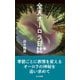 全天オーロラ日誌（光文社） [電子書籍]