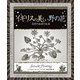 イギリスの美しい野の花（創元社） [電子書籍]