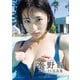 水野瞳ファースト写真集「AKIRA」（扶桑社） [電子書籍]