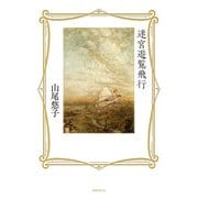 迷宮遊覧飛行（国書刊行会） [電子書籍]