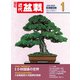 近代盆栽2025年1月号（近代出版） [電子書籍]