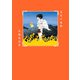 犬火の兄弟（KADOKAWA） [電子書籍]