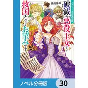 グランドール王国再生録【ノベル分冊版】 30（KADOKAWA） [電子書籍]
